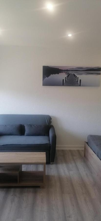 Appartement Avec Balcon Et Parking Prive Roanne Zewnętrze zdjęcie